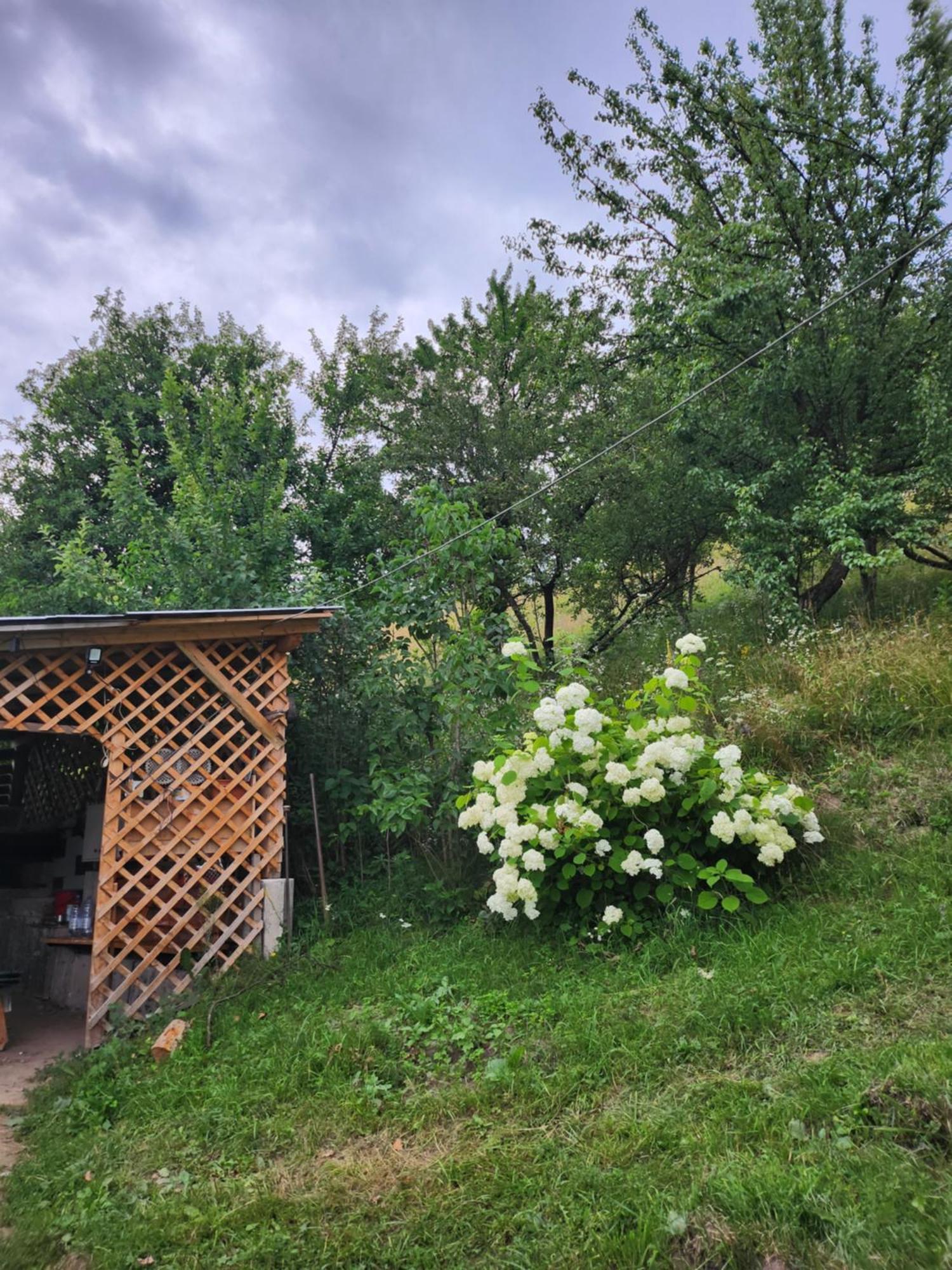 Casa Din Livada - Cazare Magherus Topliţa Dış mekan fotoğraf